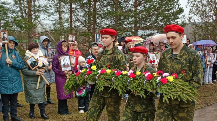 Память в каждой веточке.